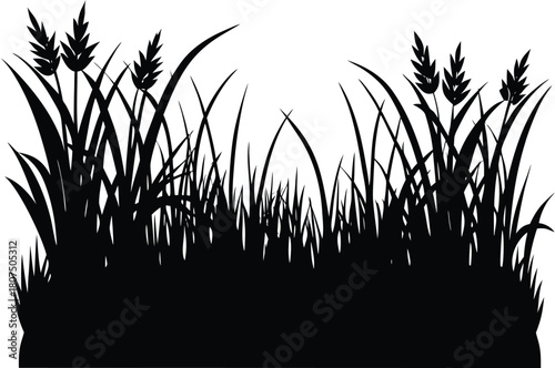 aesthetic grass border accent silhouette.eps