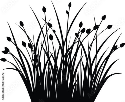 grass with tiny buds silhouette.eps