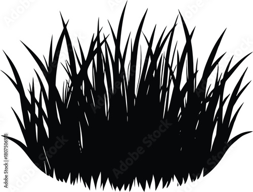 organic natural grass brush silhouette.eps
