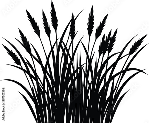 sparse dry grass blades silhouette.eps