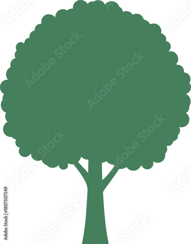 Green deciduous tree with full foliage isolated on white representing nature growth and environment isolated on white background