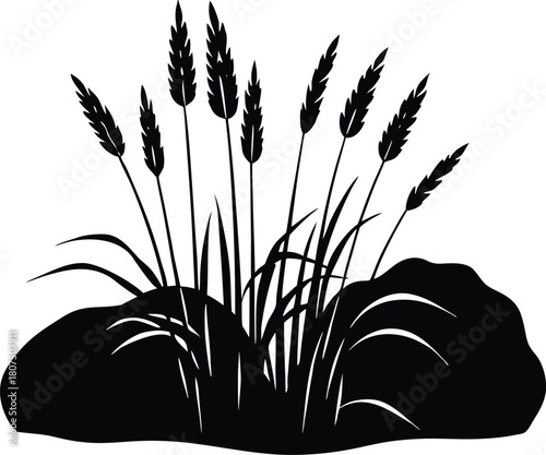 wispy tall grass over rocks silhouette.eps