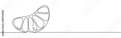 A continuous one-line drawing of a single peeled orange segment, highlighting its natural curves against a clean white background