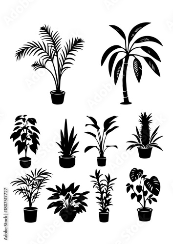 Tropical Houseplants Vector Set