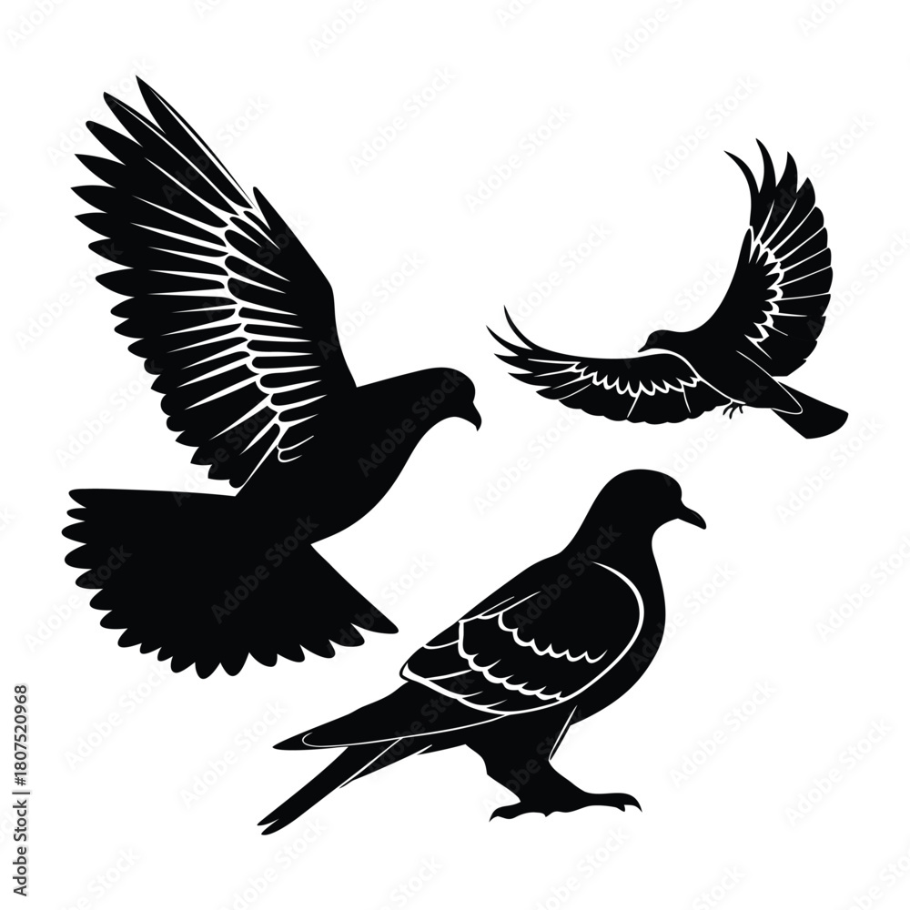 Obraz premium Abstract geometric shape with vibrant color accents isolated on white background