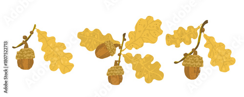 Set of acorns and yellow leaves on a white background