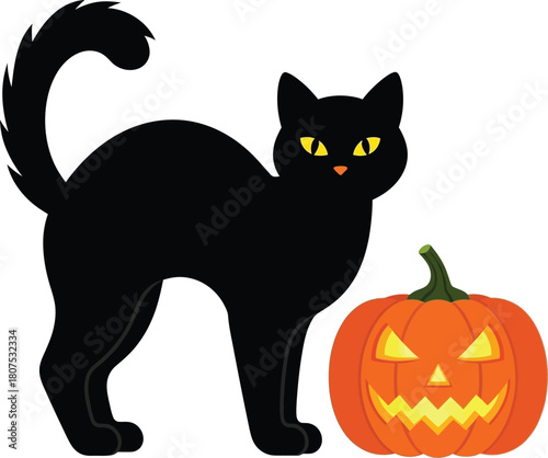 Spooky black cat and glowing jack o lantern halloween decoration symbol of mystery and celebration isolated on white background
