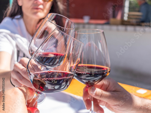 Close-Up of Friends Toasting Red Wine Outdoors in Sunlight