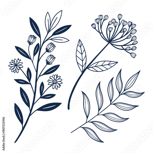 Delicate hand drawn botanical line art of floral sprigs