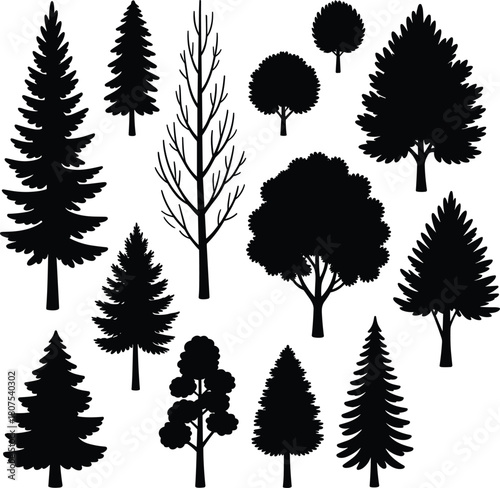 Tree silhouette collection, diverse species, forest shapes, coniferous and deciduous, botanical elements, nature design, flat vector illustration, black trees