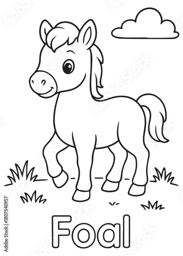 Coloring book foal standing in a grassy field, ideal for children's coloring practice.