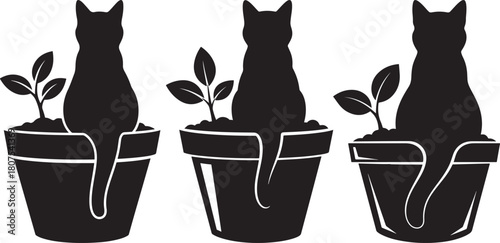 Three black cat silhouettes sitting in flower pots with small plants silhouette