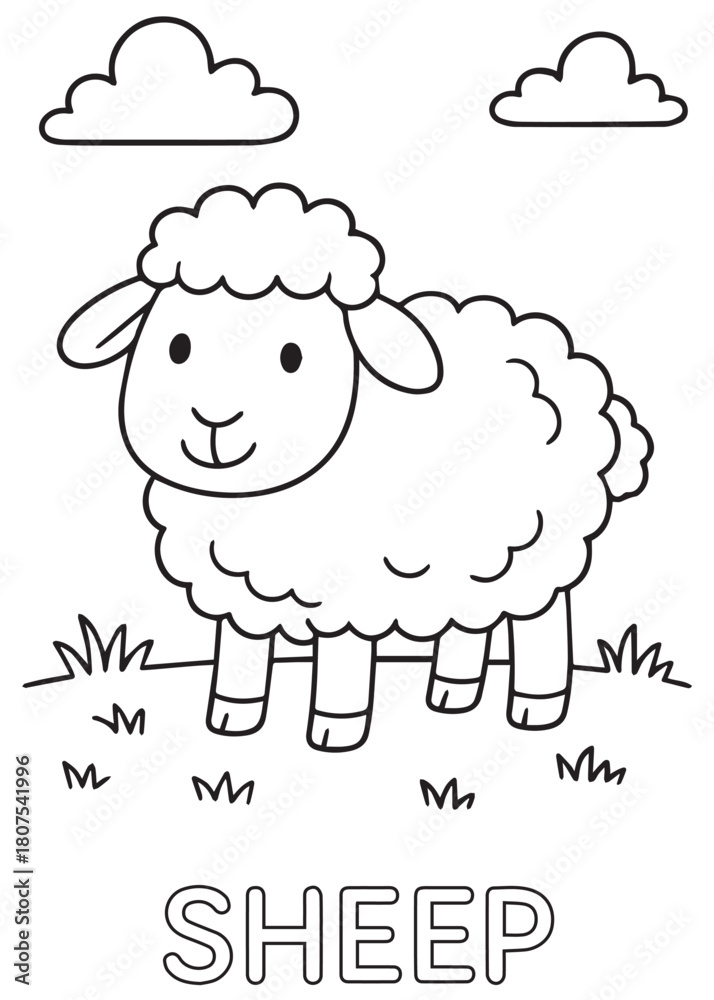 Obraz premium Coloring book sheep standing on grass under the clouds, perfect for animal learning pages.