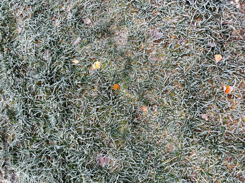 Detailed Frost Covered Grass Texture – Frozen Winter Ground with Ice Crystals and Natural Cold Surface Pattern