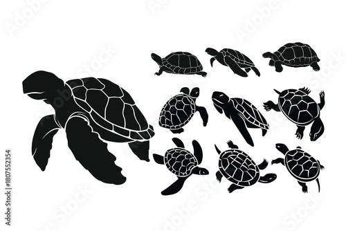 Animal silhouettes Hand drawn Flat turtle Silhouette