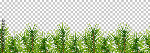 Seamless border of vibrant green pine tree branches with sharp needles on a transparent background, ideal for winter and Christmas designs.