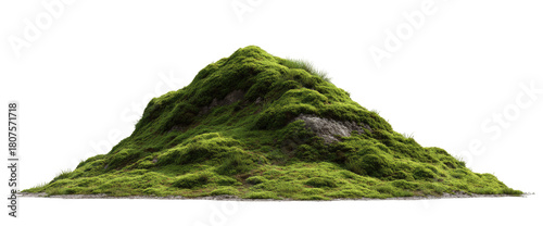 A lush, triangular mound of moss-covered rocks
