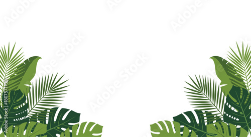 Border frame made from a variety of lush green tropical jungle leaves like monstera and palm.