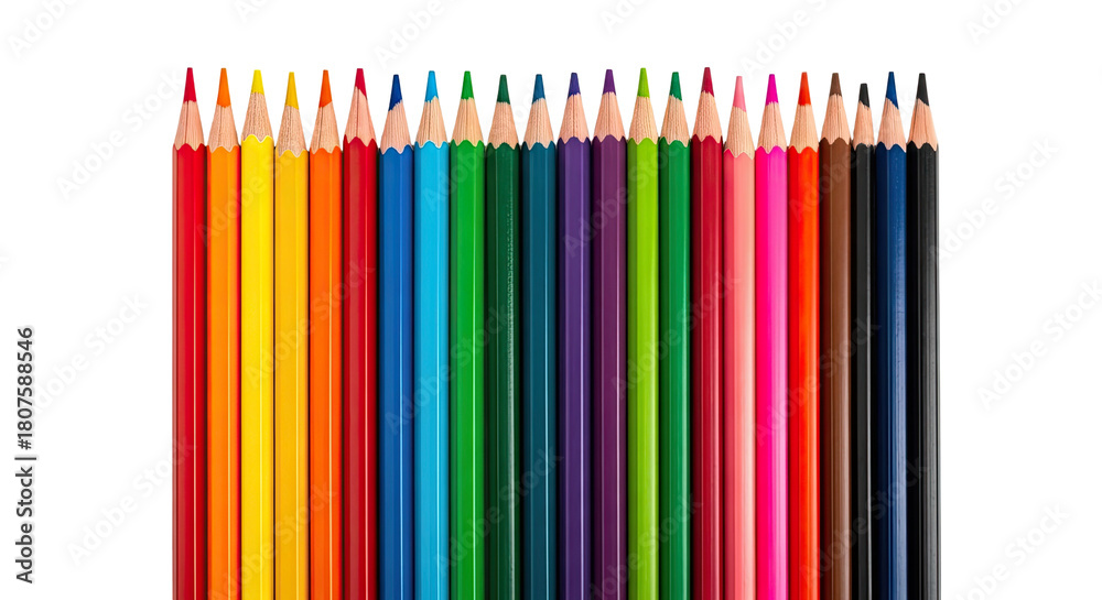 Obraz premium Row of Brightly Colored Pencils Arranged on Isolated transparent background