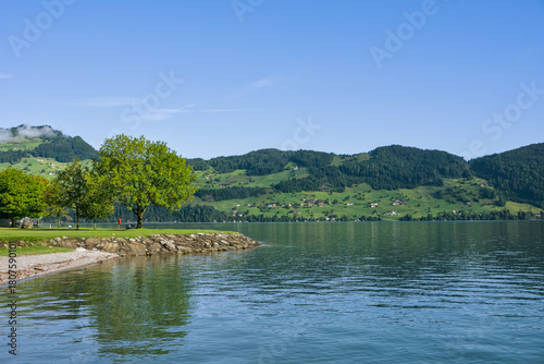 Scenic view of Vierwaldstätter See (Lake Lucerne) with a tree-lined shore and green hills in Switzerland.