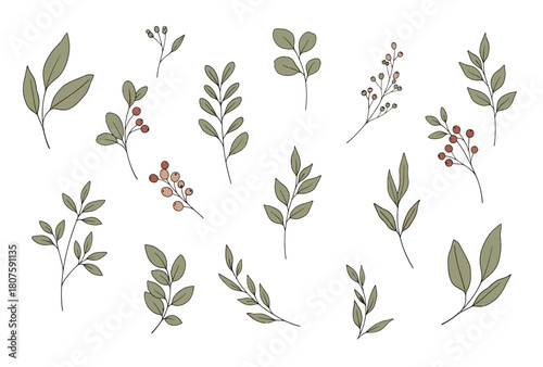 Hand-drawn botanical elements with leaves and berries