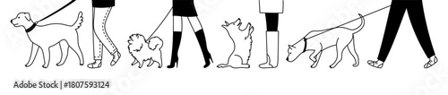 Doodle set of different human feet with dogs. People and pets. Vector line illustration of men and women with animals, isolated on white background.