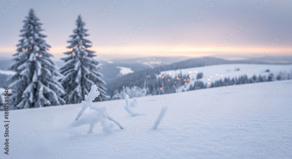 Fototapeta premium Winter landscape with snow-covered ground and trees. The scenery represents serene, cold, and peaceful winter atmosphere, evoking tranquility and escape