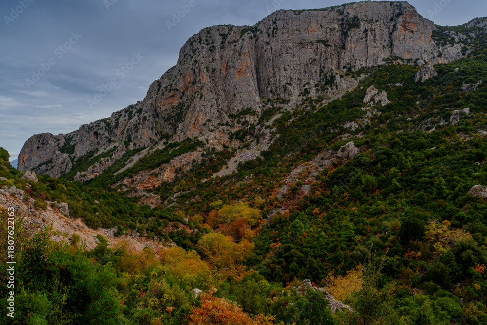 Naklejka premium Sheer limestone wall above autumn valley