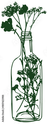 Herb wildflower bottle illustration