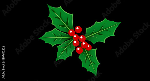 holly,berries,evergreen,leaf,twig,redness,cluster,folklore,cheer,joy,season,yuletide,christmasday,vectorart,flat,outline,cartoon,simple,clean,minimal,decorative,arrangement,brightened,festivity,holida