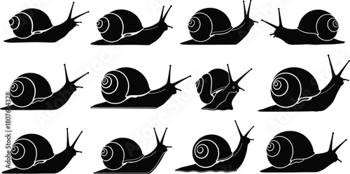 Set of 12 stylized snail silhouettes with varied shell shapes and poses for biological, artistic, and vector design use.