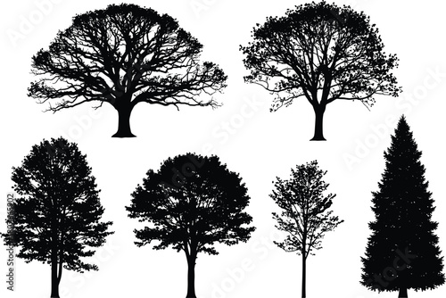 Silhouette collection of detailed tree shapes, natural forest elements in black style, diverse foliage set for design, flat vector illustration