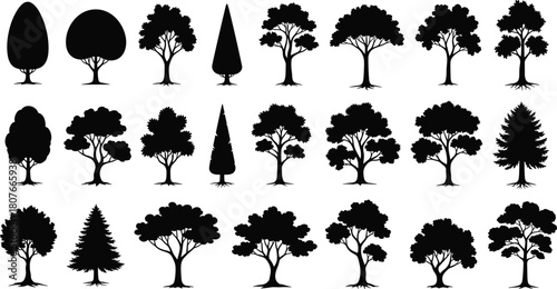 Silhouette collection of various tree shapes, detailed natural forest elements in black style, diverse foliage set for design, flat vector illustration