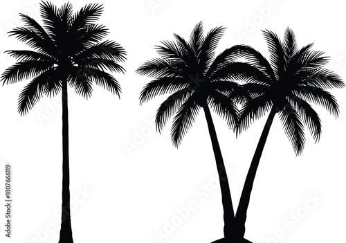 Palm tree silhouette, tropical vegetation, curved trunk trees, beach icon, exotic nature element, coastal graphic design, flat vector illustration