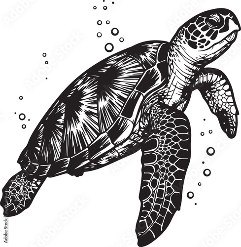 Sea Turtle Swimming in the Ocean Black and White Illustration
