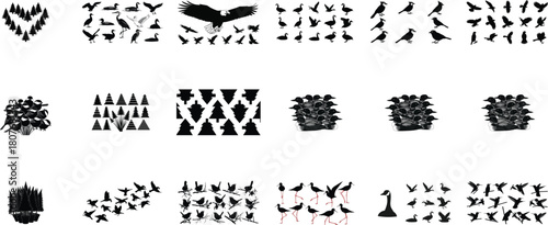 Collection of Black Bird and Tree Silhouettes nature