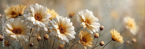 Daisies Reflect on Calm Water Creating a Peaceful Atmosphere in a Soft Light