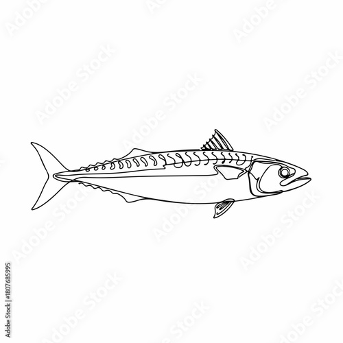 Simple Line Art Mackerel Fish Illustration Seafood Underwater Creature