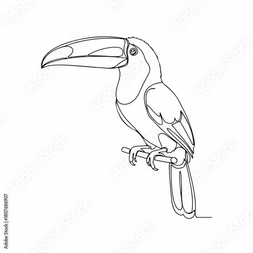 Simple One Line Drawing Toucan Bird on Branch Continuous Line Art