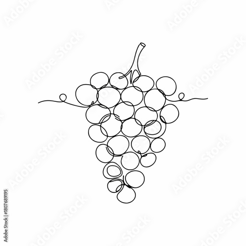 Minimalist Line Art Grape Bunch Fruit Food Illustration Drawing
