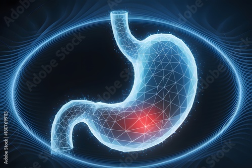Digital 3D Illustration of Stomach with Pain Highlight