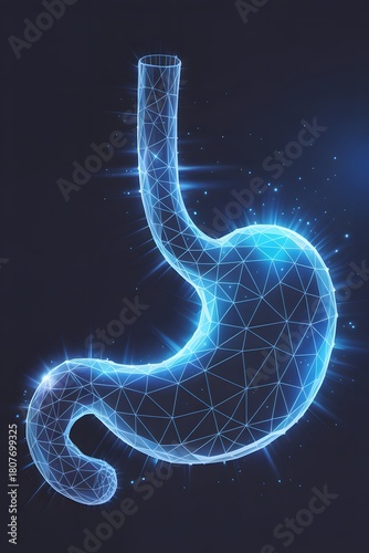 Futuristic 3D Wireframe of Human Stomach