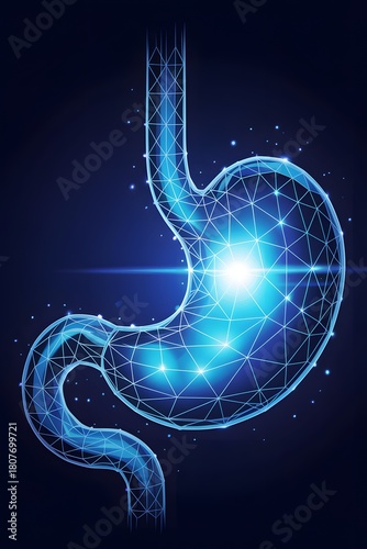 Glowing Digital Wireframe of Human Stomach