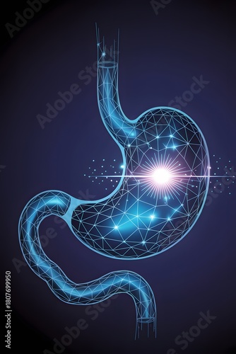Glowing Digital Wireframe of Human Stomach