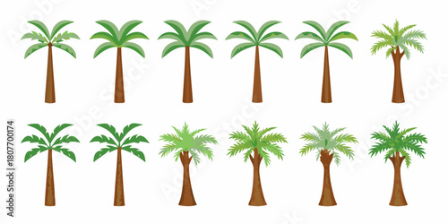Collection of cartoon palm trees with different shapes and styles on white