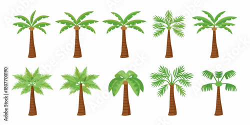 Cartoon palm trees collection isolated on white background tropical plants