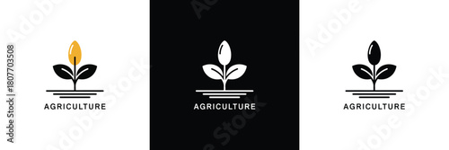 Abstract geometric design with bold color accents and typographic elements