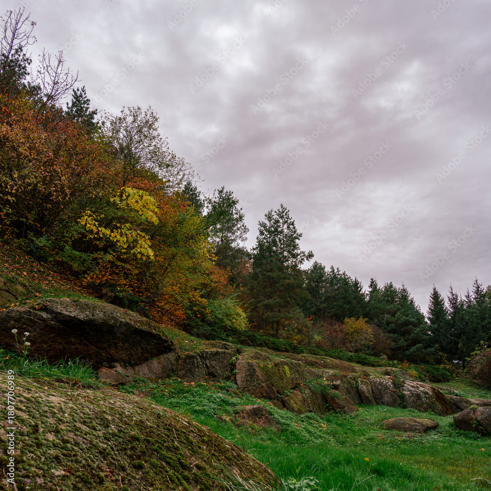 Obraz premium Green grass foreground leading up to a rocky ridge and dark woodland canopy
