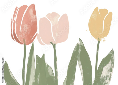 PNG Cute tulip illustration painting blossom flower.
