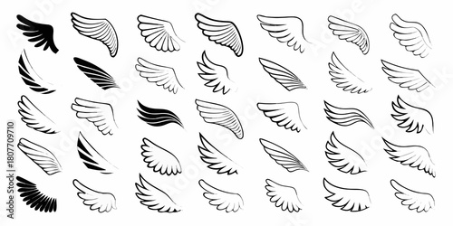 Collection of various hand drawn angel wings vector illustration set